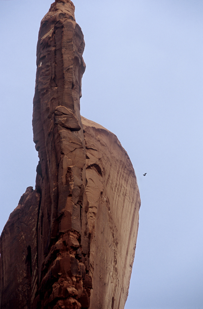 sw_b_Gaffney Shane arizona BASE pillar_web
