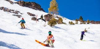 Significant Land Trust Donation; Elyse Saugstad to Present at Winter Speaker Series; $650,000 Awarded for Climate Resilience; More