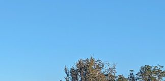 IVGID General Manager Announces Resignation; Adult Education Returning; Burn Restrictions and Wildfire Town Hall; Acupuncture Offered at Hospital; and More