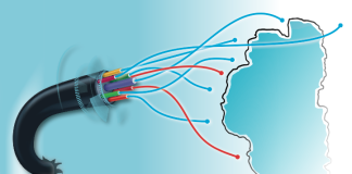 Mind the Digital Gap