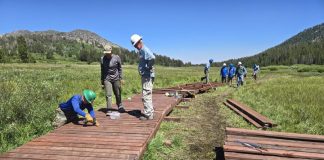 National Transportation Safety Board Releases Report on Capsized Boat; Catherine Breed Becomes First to Swim Full Lake Tahoe Water Trail; More