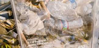 Proposed Single-Use Plastic Restrictions in Tahoe; Film Festival Chooses Grant Recipients; Illegal Boat Launch Stopped; More