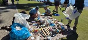Earth Day Cleanup