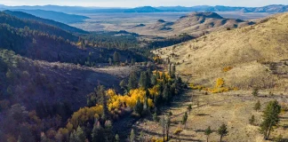 Coming Home: The Washoe Tribe’s Journey Back to Ancestral Lands
